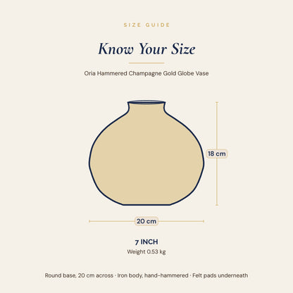 Oria 7 inch globe vase size guide showing 20 cm width and 18 cm height