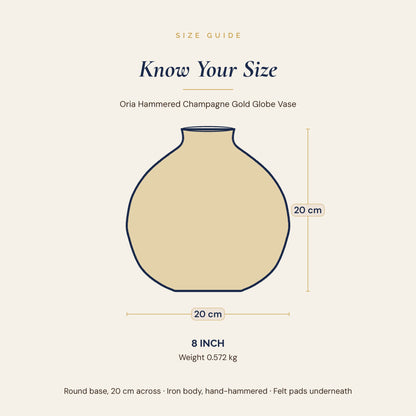 Oria 8 inch globe vase size guide showing 20 cm width and 20 cm height