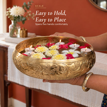 Chitra urli held in two hands to show its size